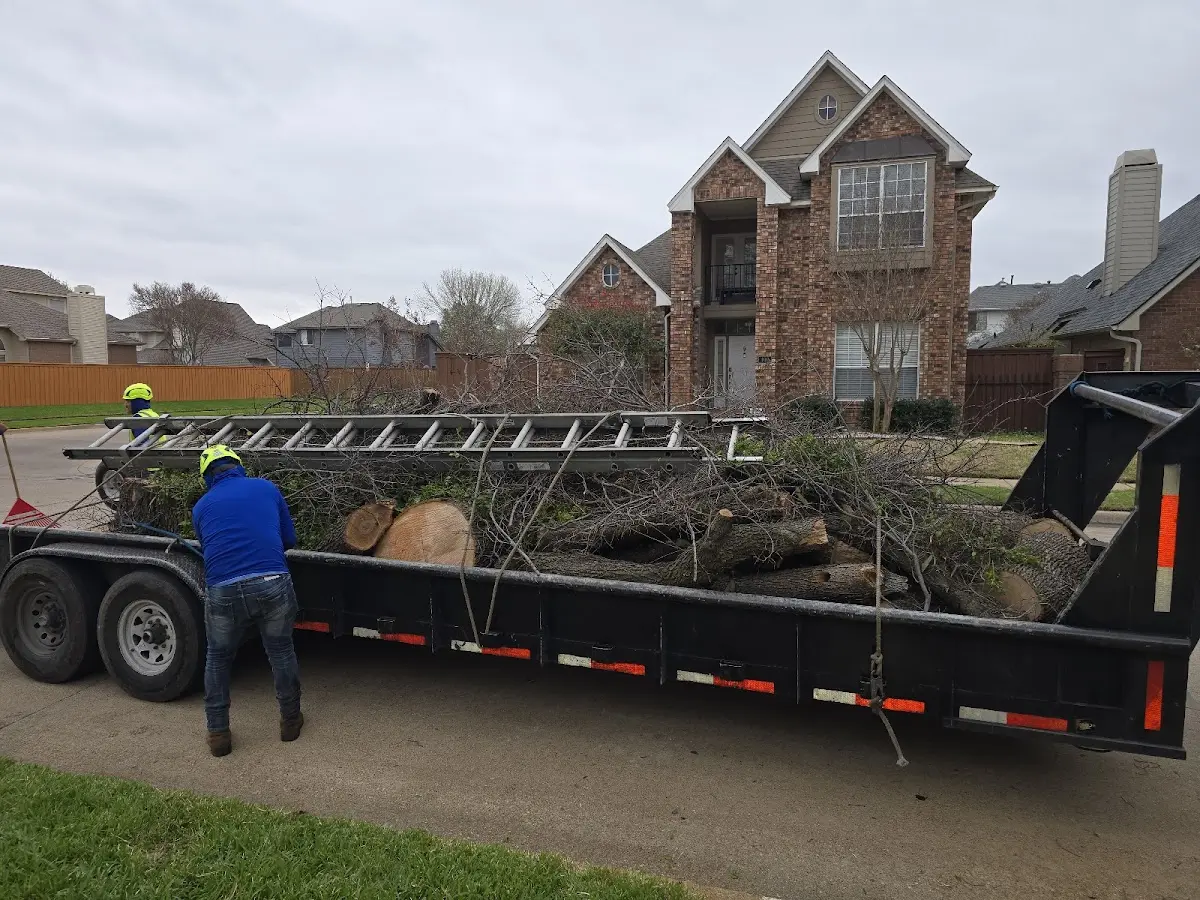 Expert Tree Removal with proper safety equipment in Burden